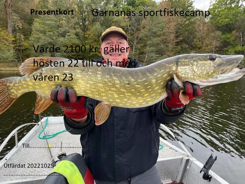 Magasinet Villa Brakne-Hoby Eksteriør bilde